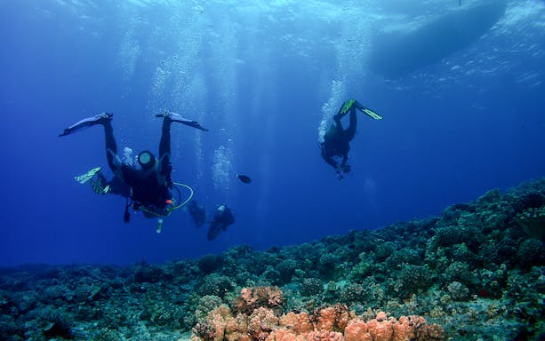 Divers ascending towards a boat over coral reefs in Maui.