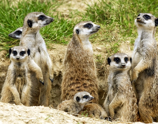 Cologne Zoo