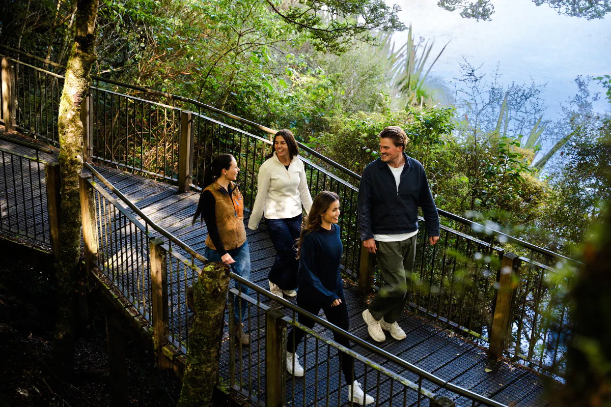 Group walking on a forest boardwalk during Milford Sound tour from Te Anau.