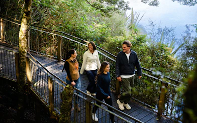 Group walking on a forest boardwalk during Milford Sound tour from Te Anau.