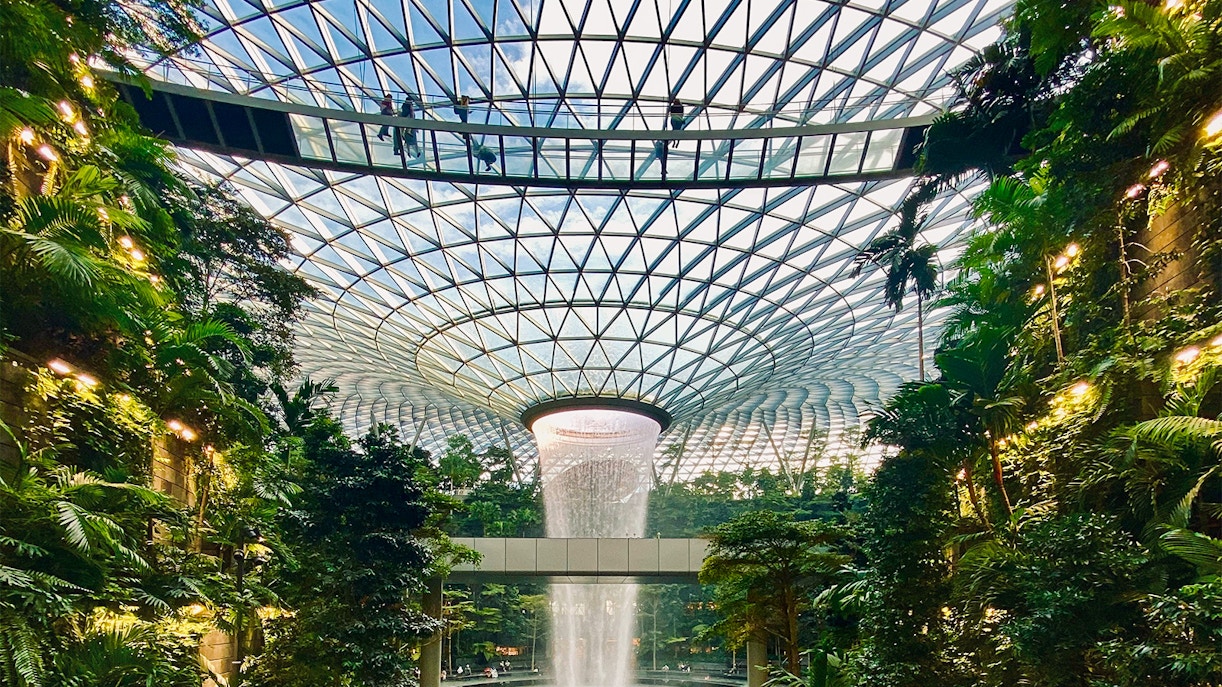 Jewel Changi - Jewel-rassic Quest