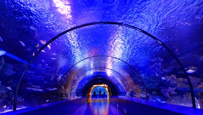 Underwater Tunnel at the Antalya Aquarium