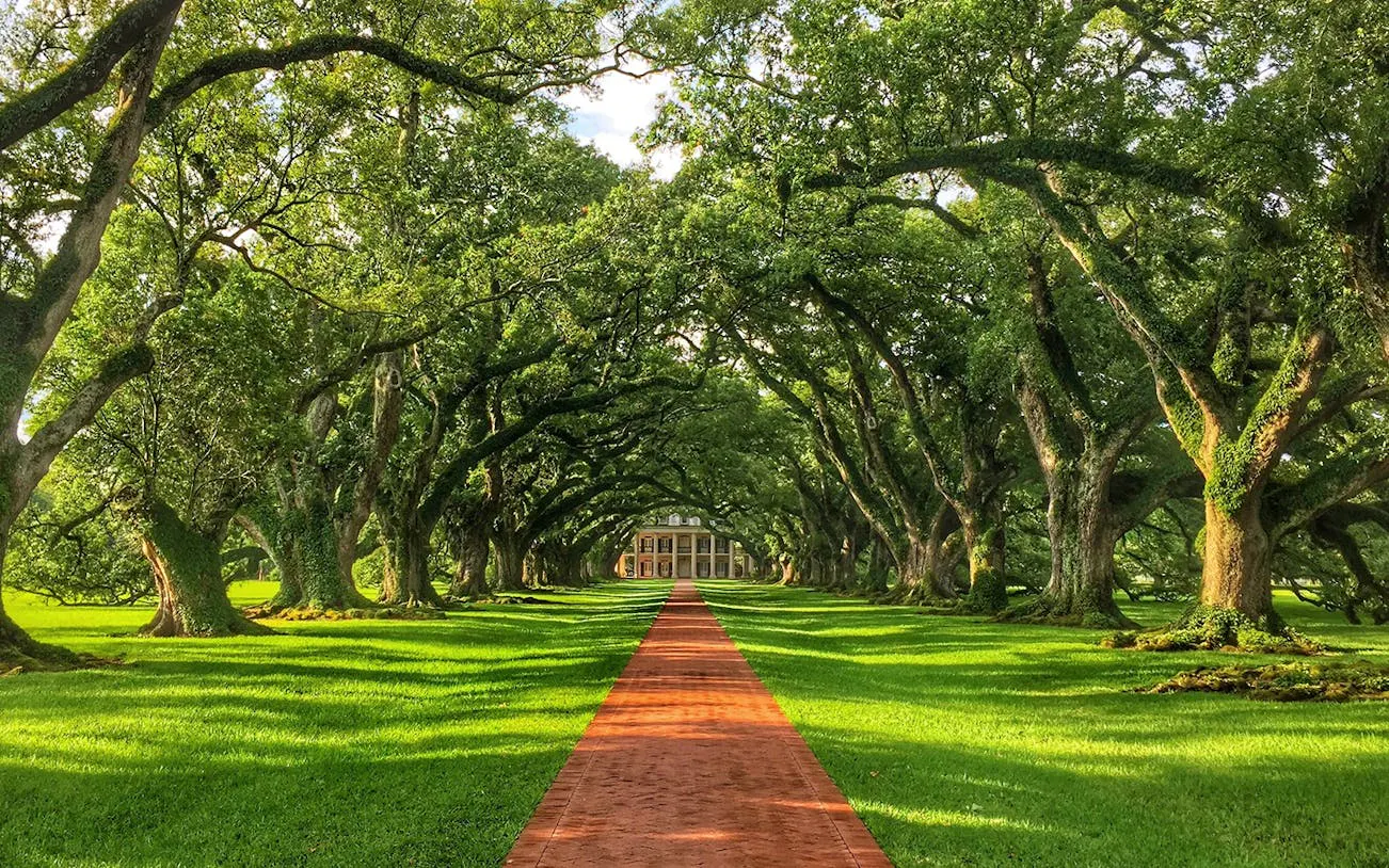 Oak Alley Plantation with oak trees lining a red brick path, New Orleans tour.