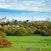 Primrose Hill