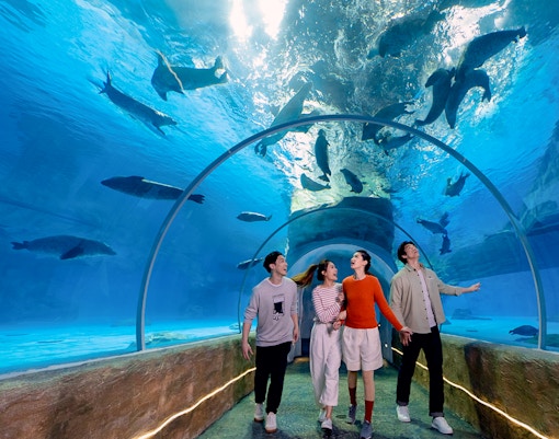 Visitors at Grand Aquarium, Aqua City, Guests at Ocean Park Hong Kong