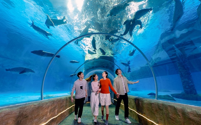 Visitors at Grand Aquarium, Aqua City, Guests at Ocean Park Hong Kong