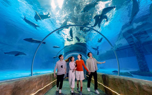 Visitors walking through underwater tunnel at Grand Aquarium, Ocean Park Hong Kong.