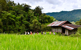 fra chiang mai: elefantreservat og fottur i doi inthanon nasjonalpark-5