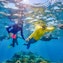 Snorkel safari tour