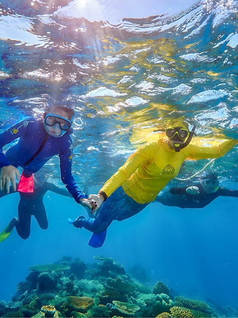 Snorkeling family exploring coral reef on Cairns to Green Island cruise.