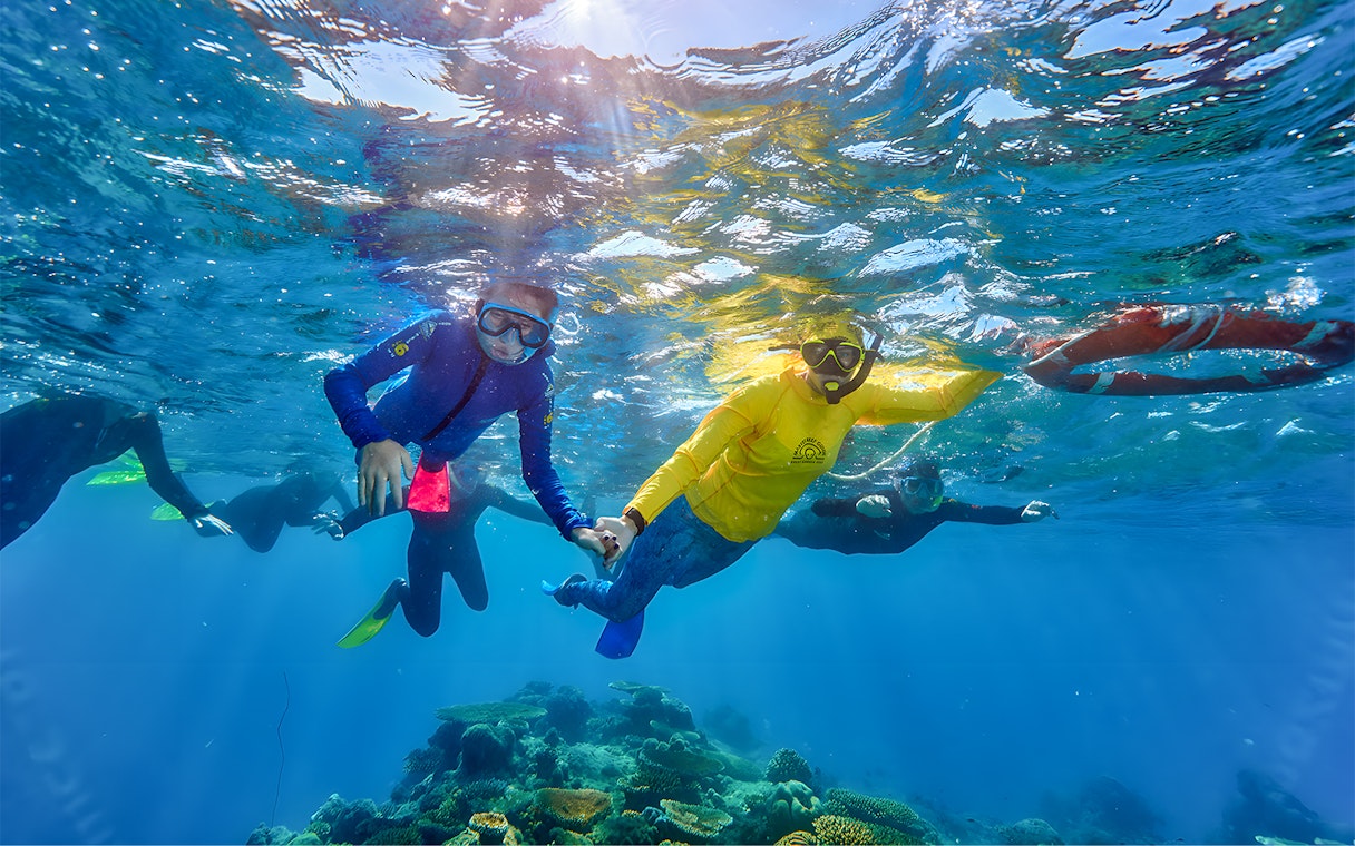 Snorkeling family exploring coral reef on Cairns to Green Island cruise.