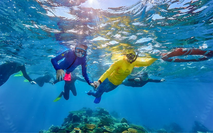 Snorkeling family exploring coral reef on Cairns to Green Island cruise.
