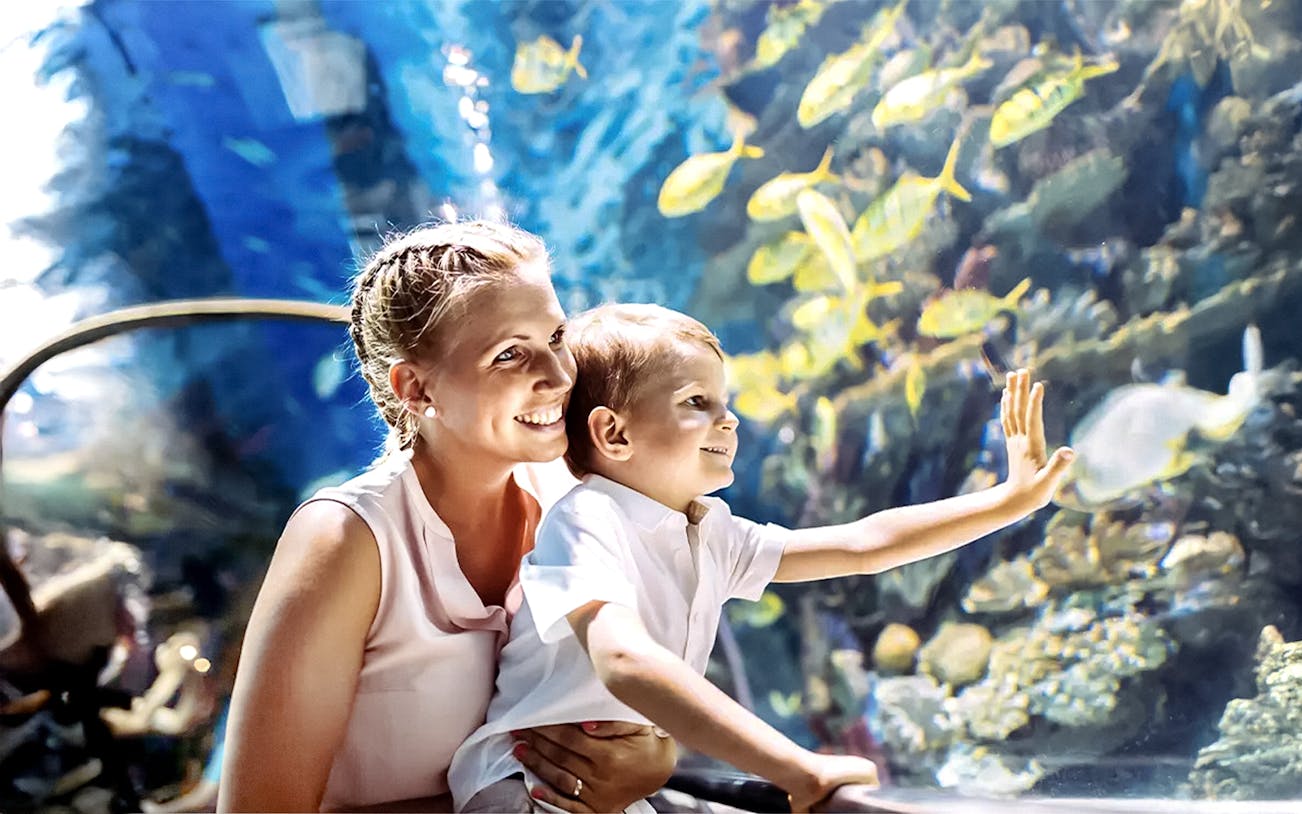 Mother and child enjoying marine life at Istanbul Emaar Aquarium.