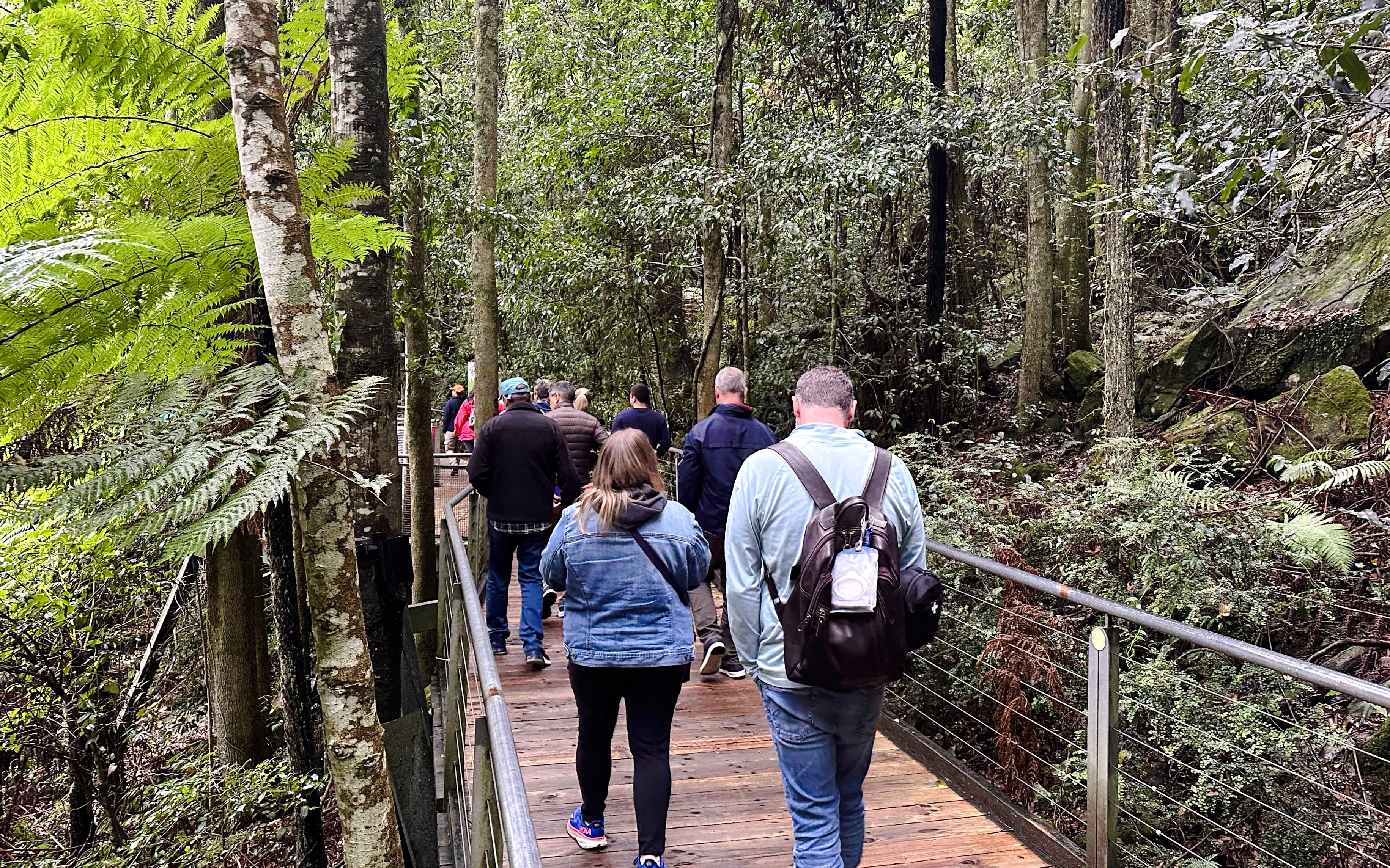Visitors walking on a forest boardwalk in Blue Mountains, Australia.