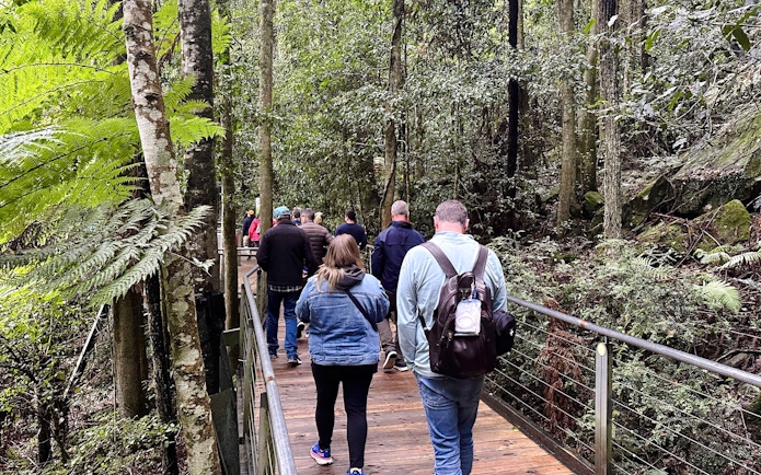 Visitors walking on a forest boardwalk in Blue Mountains, Australia.
