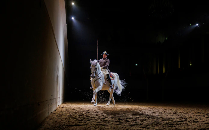Lippizan horse performing at Spanish Riding School, Vienna.