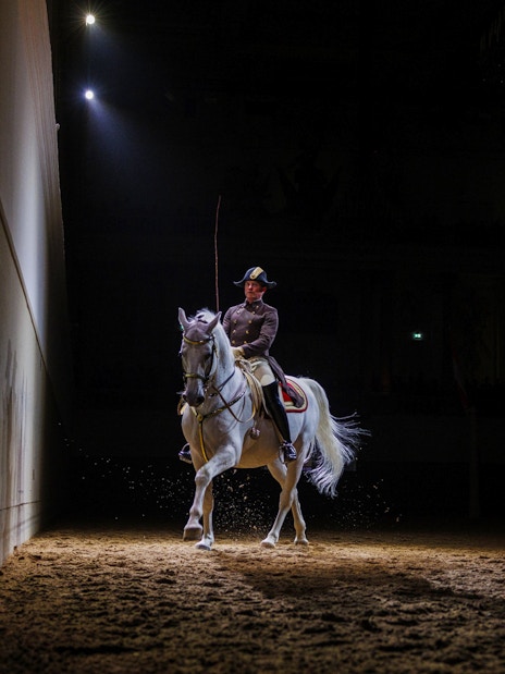 Lippizan horse performing at Spanish Riding School, Vienna.