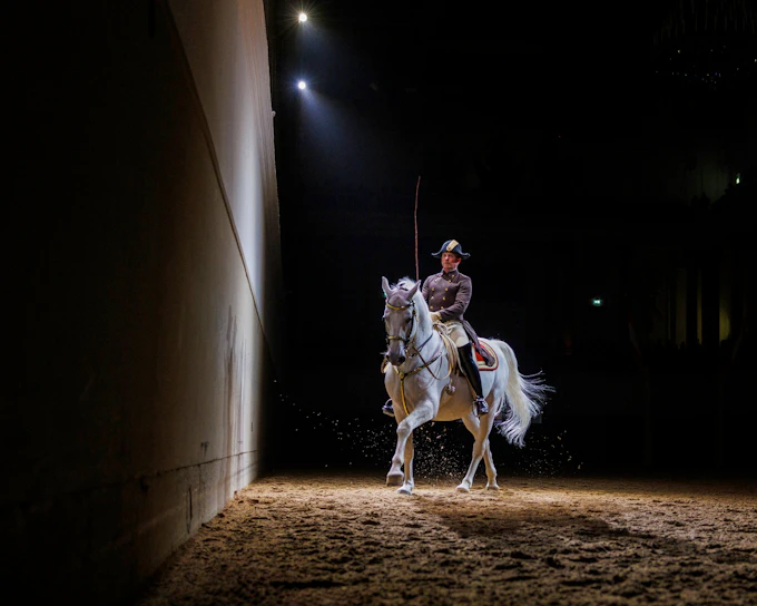 Spanish Riding School Performance of the Lipizzans (70 min)
