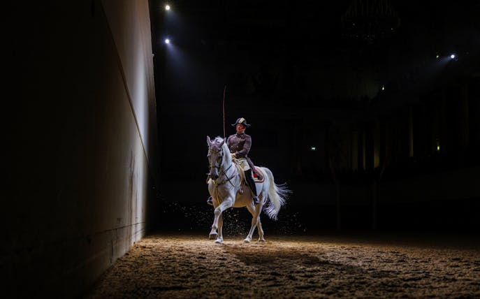 Lippizan horse performing at Spanish Riding School, Vienna.