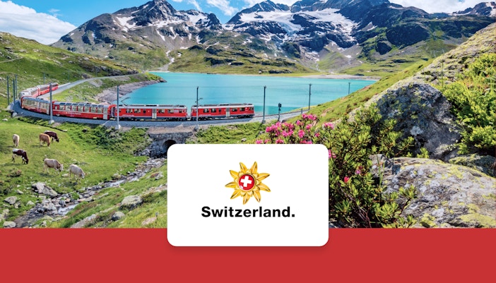 Travel pass