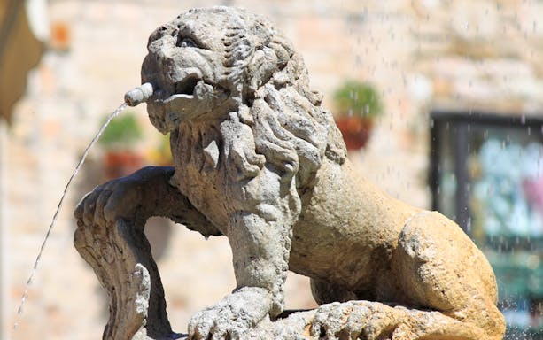 Stone lion fountain in Assisi, Italy, part of a small group tour from Florence.