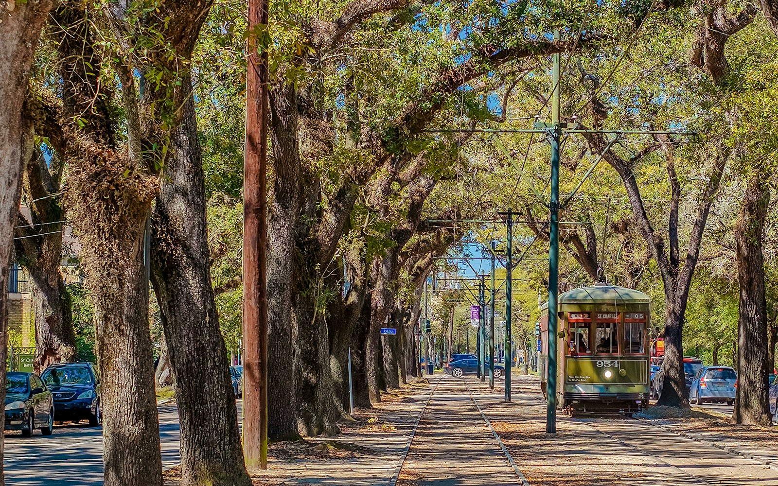 New Orleans Street Car in the Live Oak Trees