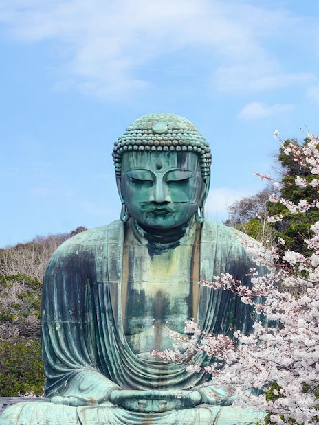 Great Buddha statue in Kamakura with cherry blossoms in the foreground.