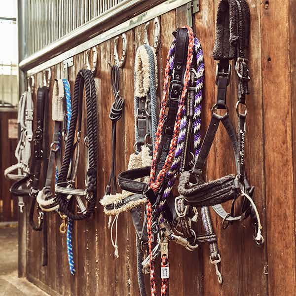 Dubai in march events