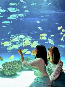 Sunshine Aquarium