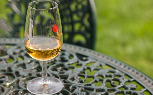 Glass of port wine on a decorative table at Taylor's Port Cellars, Porto.