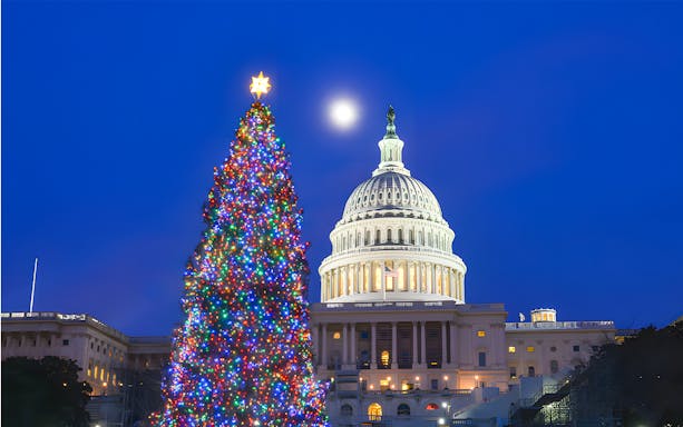 Christmas tree with lights near the U.S. Capitol, Washington D.C., Big Bus tour.