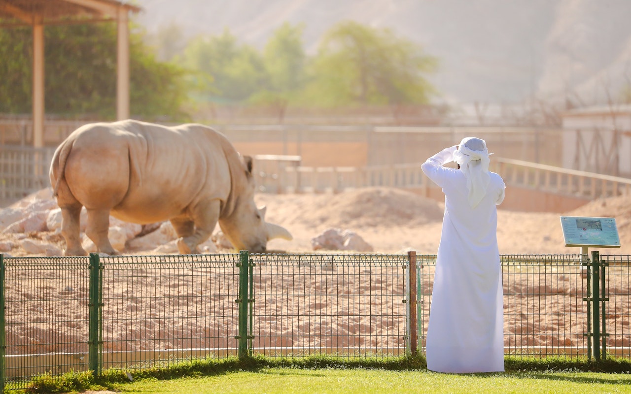 Biglietti per lo zoo di Al Ain — 8