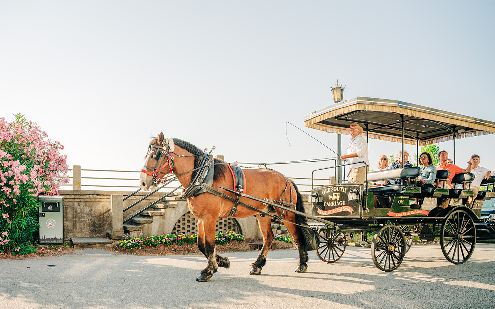 Horse-drawn carriage on a street in Charleston, South Carolina, passing historic buildings.