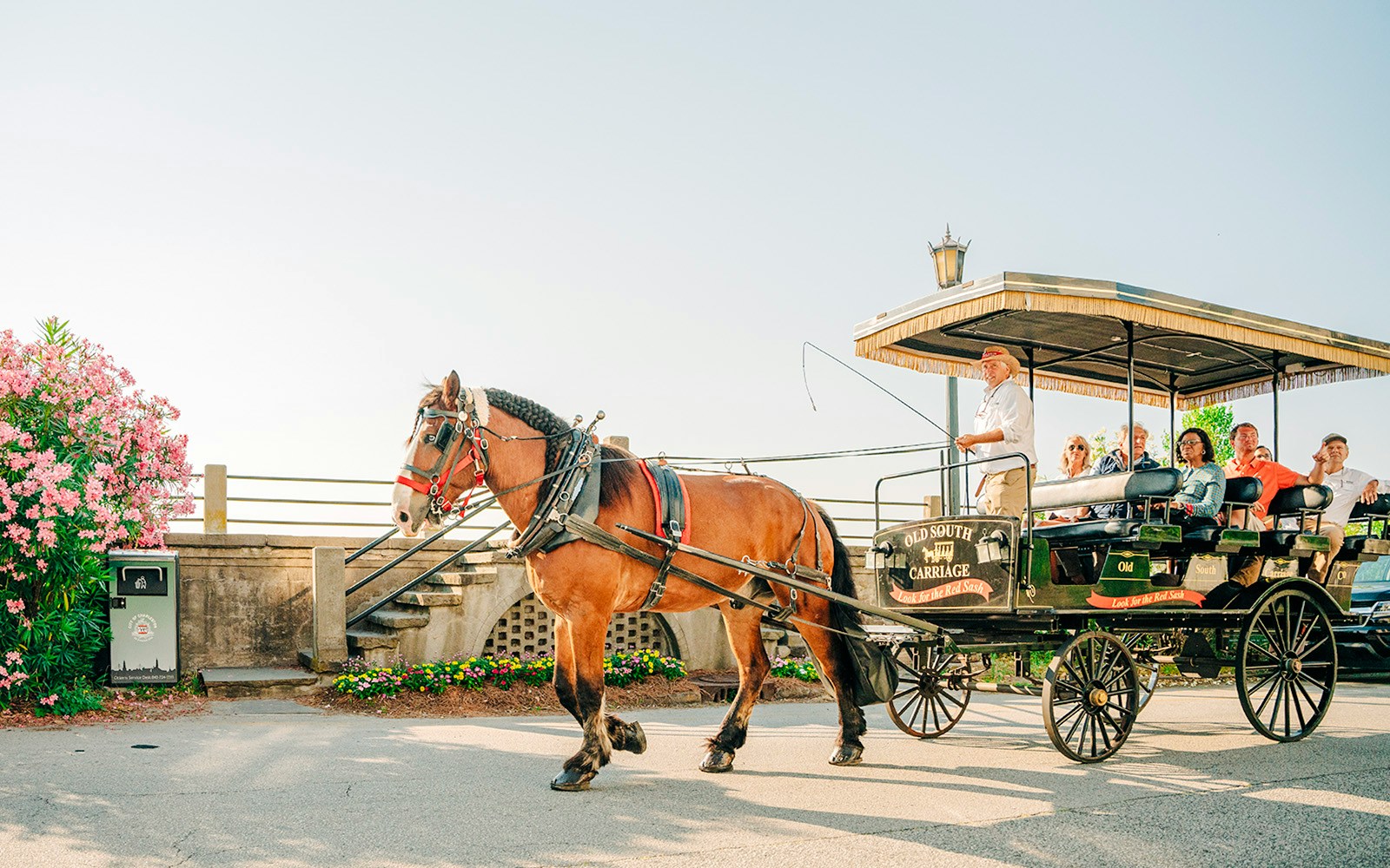 Charleston horse-drawn carriage tour with passengers and guide on a sunny day.