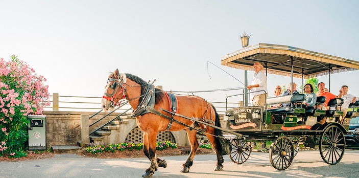 Horse-drawn carriage on a street in Charleston, South Carolina, passing historic buildings.