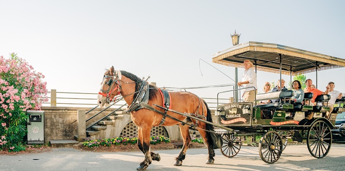 Charleston horse-drawn carriage tour with passengers and guide on a sunny day.