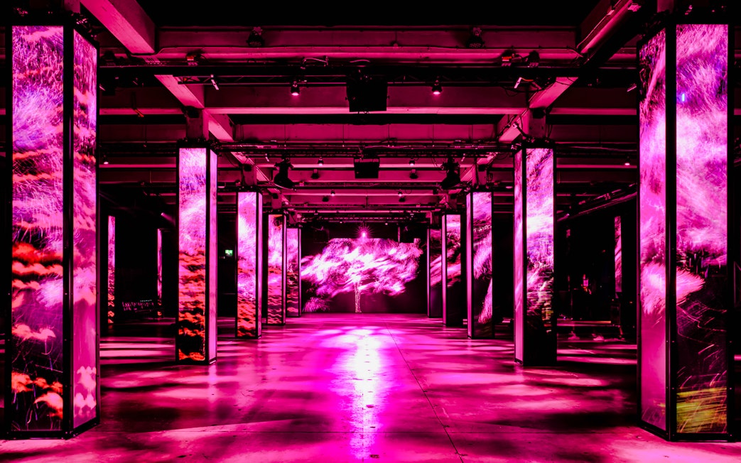 Immersive light display at AMAZE Amsterdam with vibrant pink visuals.