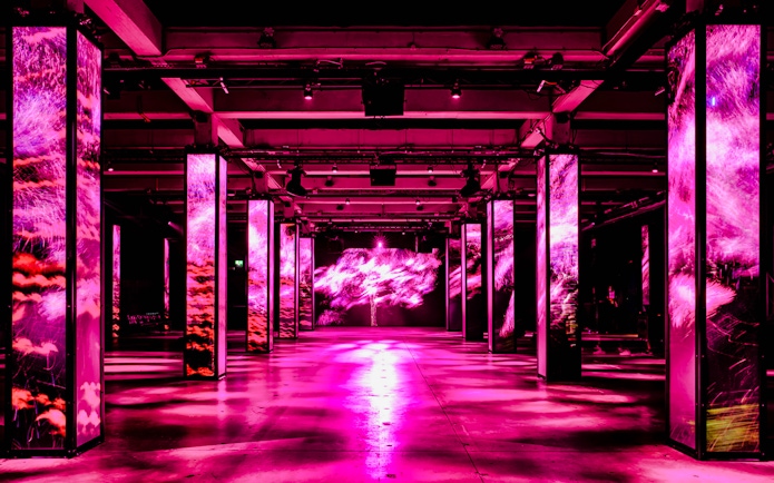 Immersive light display at AMAZE Amsterdam with vibrant pink visuals.