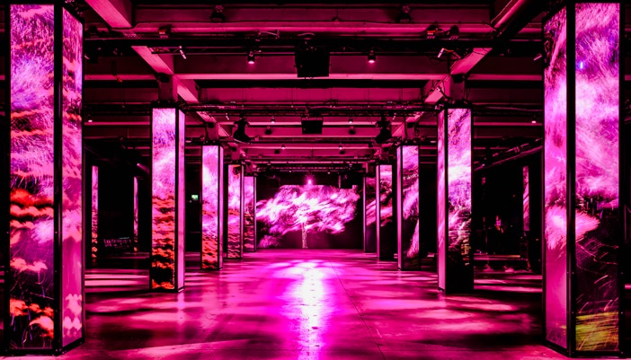 Immersive light display at AMAZE Amsterdam with vibrant pink visuals.