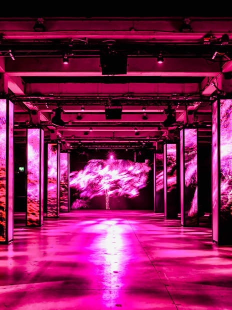 Immersive light display at AMAZE Amsterdam with vibrant pink visuals.