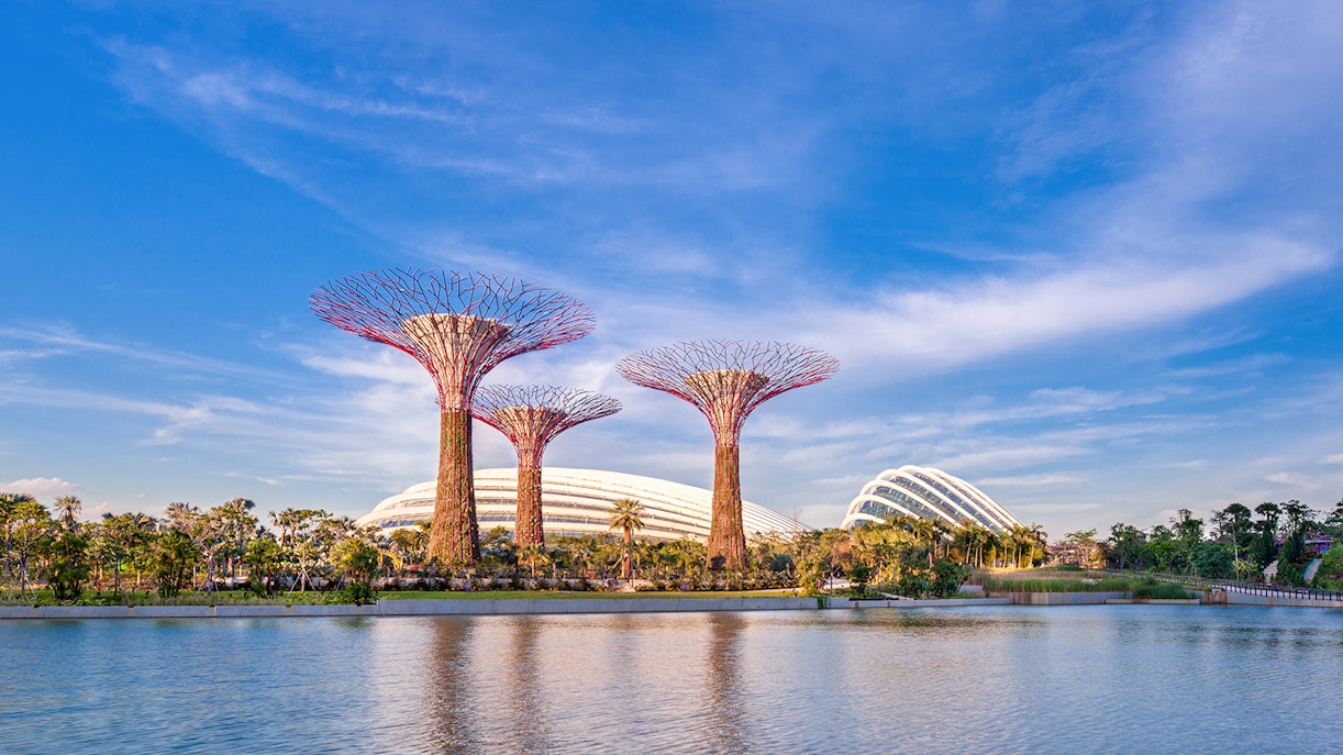 Supertree Grove at Gardens by the Bay with Marina Bay Sands in the background, Singapore.