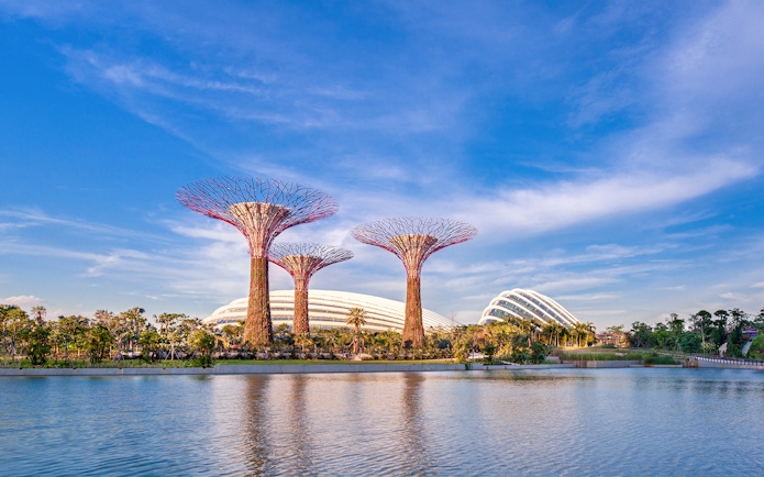 Supertree Grove at Gardens by the Bay with Marina Bay Sands in the background, Singapore.
