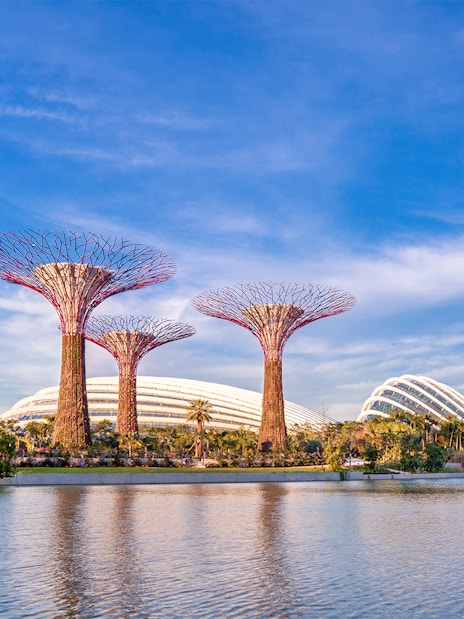Supertree Grove at Gardens by the Bay with Marina Bay Sands in the background, Singapore.