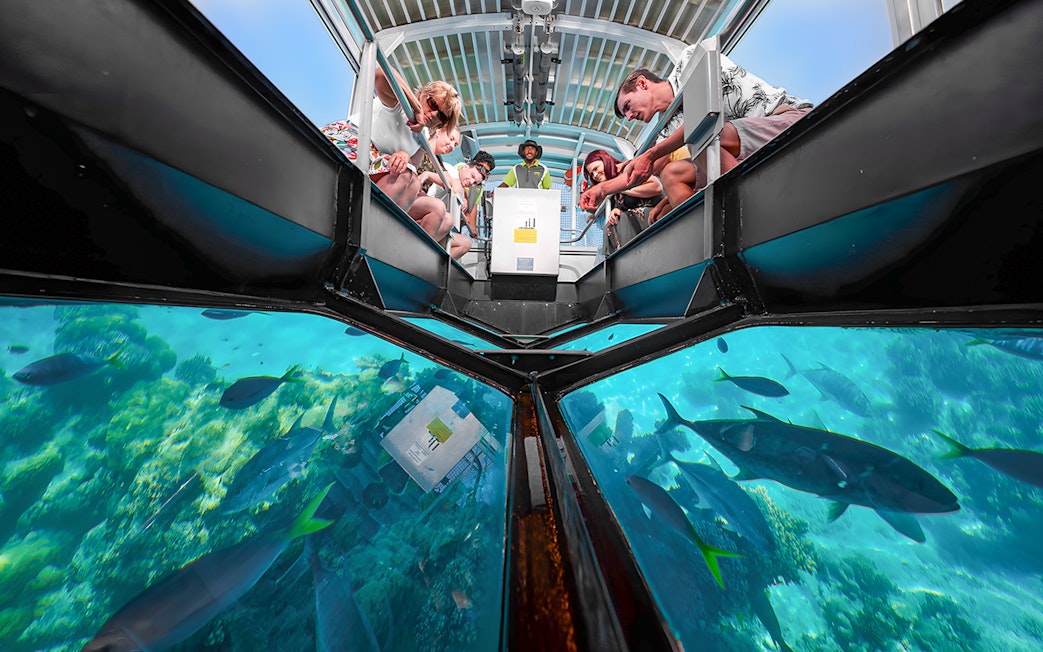 Tourists observing marine life through a glass-bottom boat on a Cairns to Green Island cruise.
