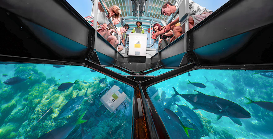Tourists observing marine life through a glass-bottom boat on a Cairns to Green Island cruise.
