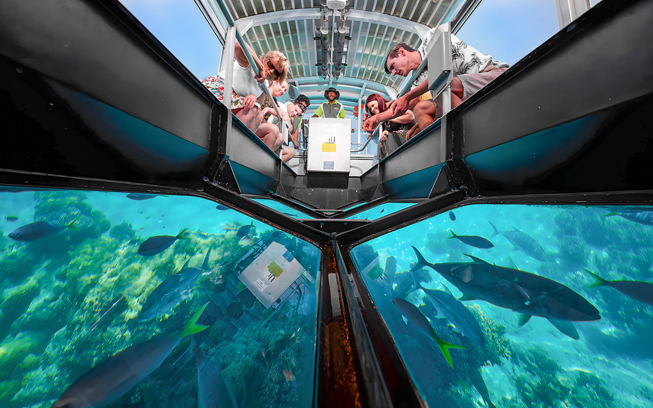 Schifffahrt von Cairns nach Green Island (halbtags) mit Upgrade-Optionen für Aktivitäten — 2