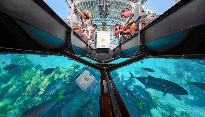 Tourists observing marine life through a glass-bottom boat on a Cairns to Green Island cruise.