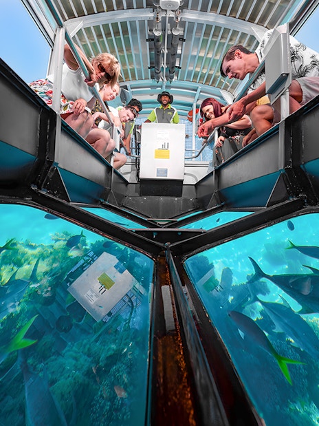 Tourists observing marine life through a glass-bottom boat on a Cairns to Green Island cruise.