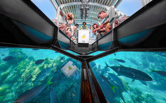 Tourists observing marine life through a glass-bottom boat on a Cairns to Green Island cruise.