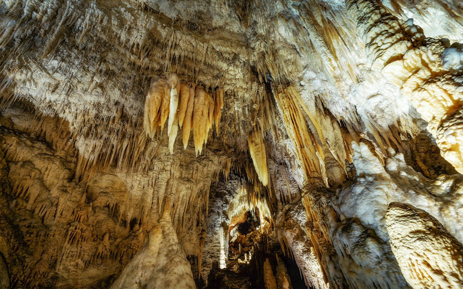 Stalactites in Waitomo Caves, New Zealand, part of the Auckland to Rotorua & Te Puia tour.